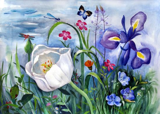 ציור פרחים,nature, flowers, israeli painting, painting for home